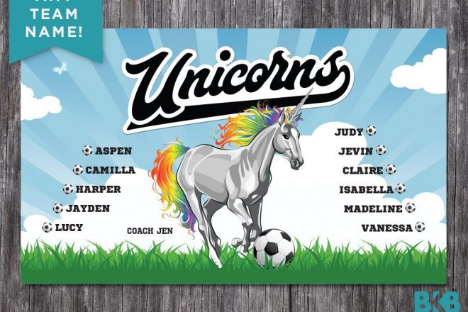 Vinyl Soccer Team Banner, Unicorns
