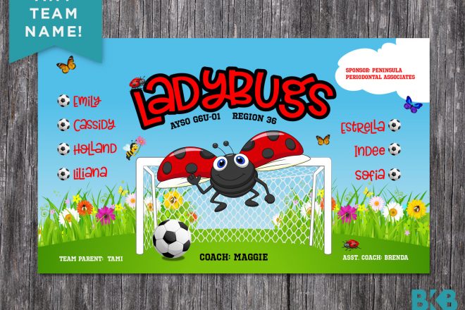 Vinyl Soccer Team Banner, Lady Bugs