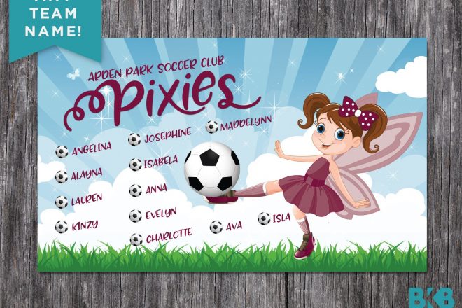 Vinyl Soccer Team Banner, Pixies