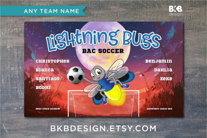 Vinyl Soccer Banner, Fireflies