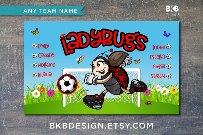 Vinyl Soccer Banner, Ladybugs