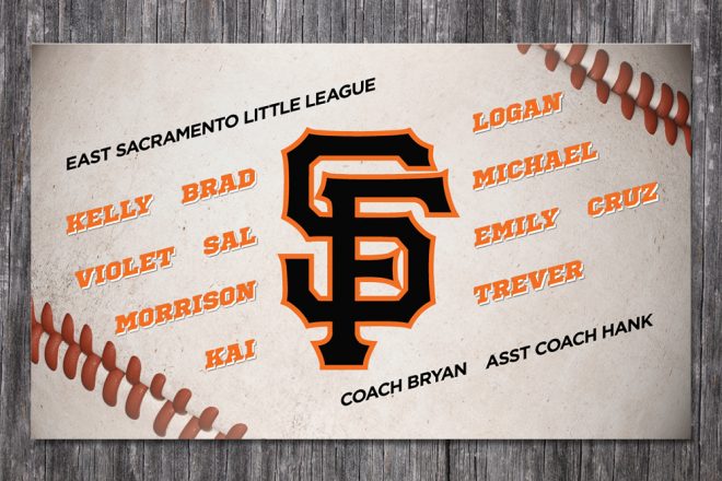 Vintage Baseball Vinyl Team Banner