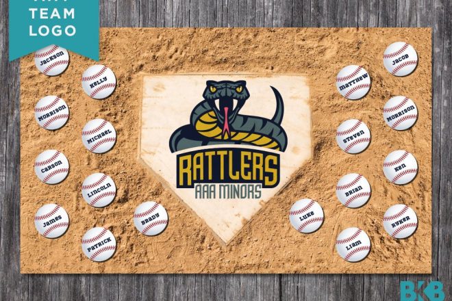 Custom Vinyl Baseball Banner